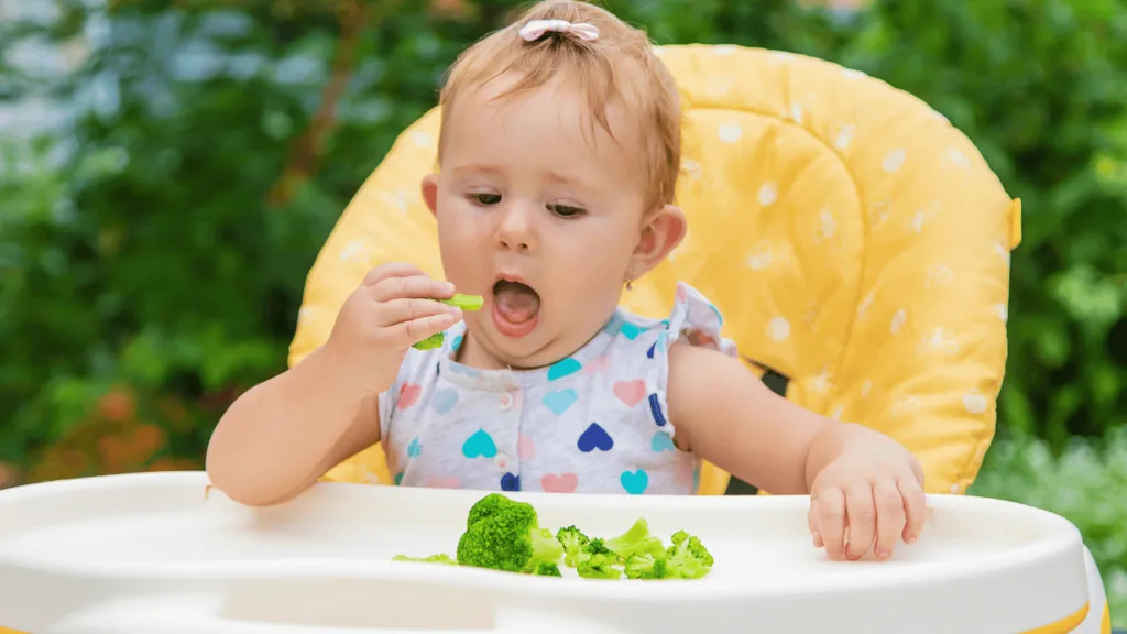 Baby-led Weaning Safety Safety Tips for Baby-led Weaning